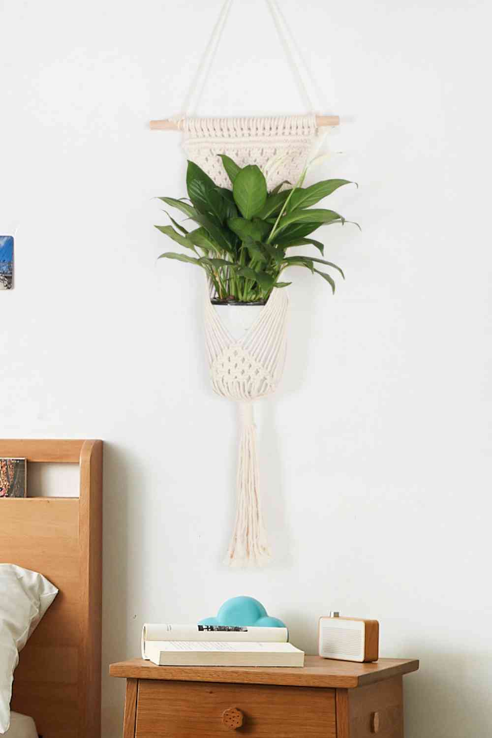 Macrame Basket Wall Hanging - BloomBliss.com